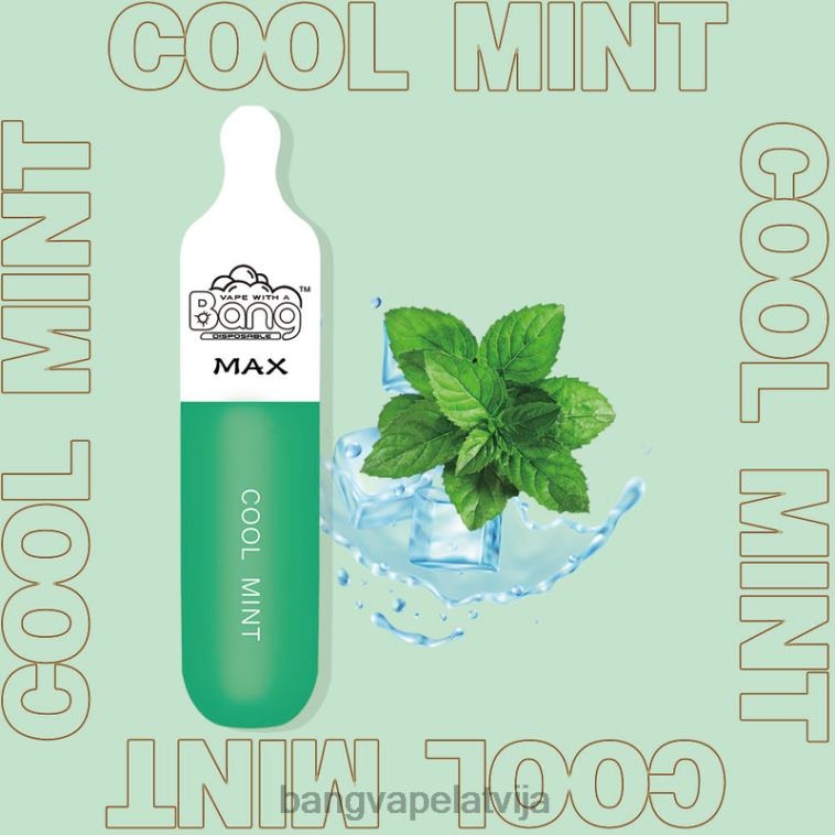 6420L10 Bang Vape Max 5000 pūtīšu stienis vienreizējās lietošanas | Best Bang Vape Flavor