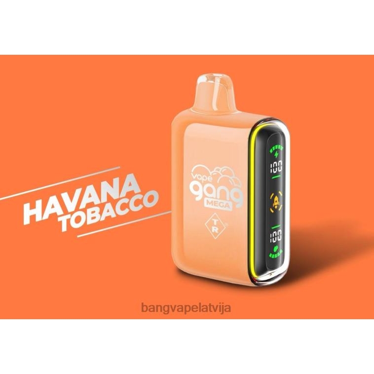 havanas tabaka